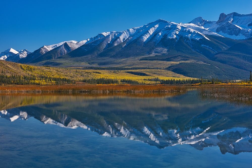 Canada-Alberta-Jasper National Park Mountains reflected in Talbot Lake art print by Jaynes Gallery for $57.95 CAD