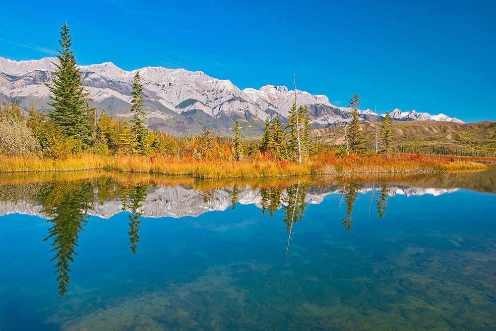 Canada-Alberta-Jasper National Park Reflections in Talbot Lake art print by Jaynes Gallery for $57.95 CAD