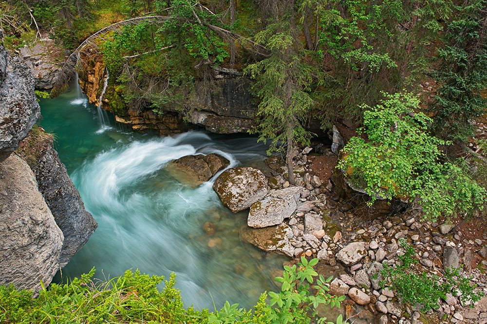 Canada- Alberta- Jasper National Park. Overview of Maligne River flowing through Maligne Canyon. art print by Jaynes Gallery for $57.95 CAD