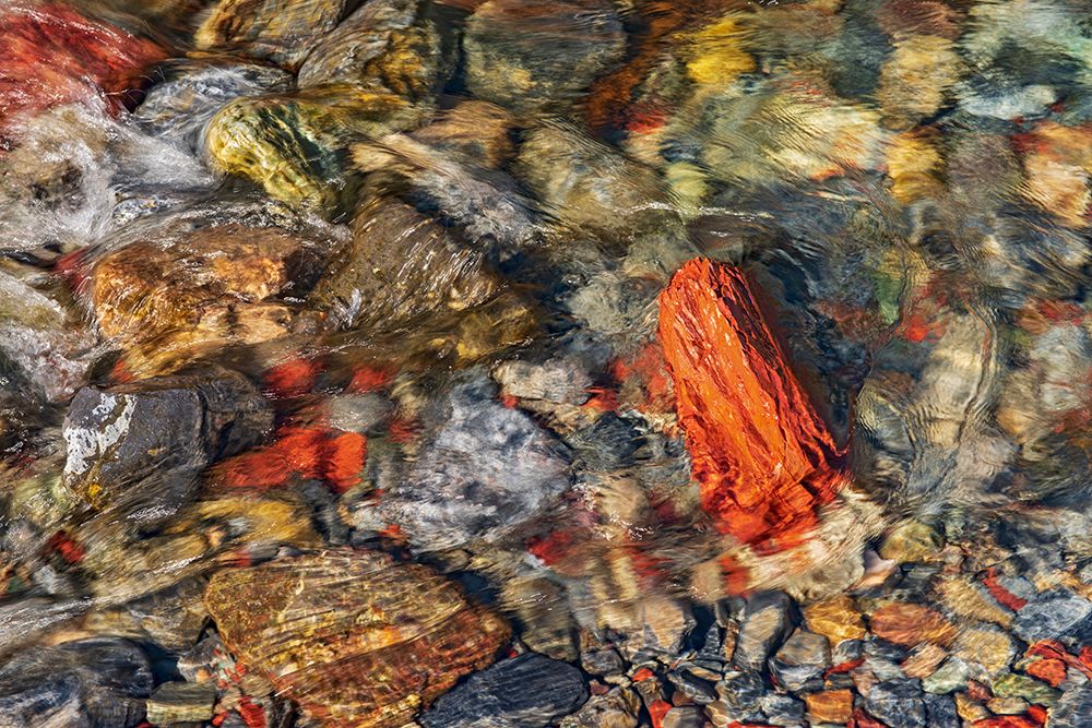 Canada-Alberta-Waterton Lakes National Park Red Rock Creek in Red Rock Canyon art print by Jaynes Gallery for $57.95 CAD