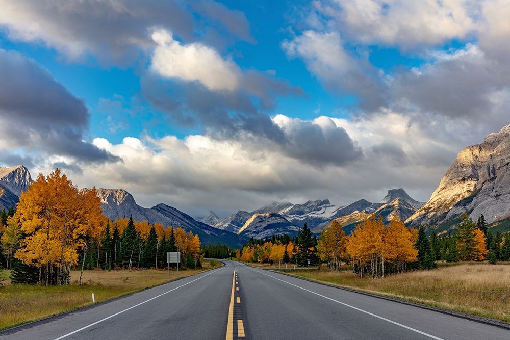 Morning light on Highway 40 in Kananaskis Country-Alberta-Canada art print by Chuck Haney for $57.95 CAD