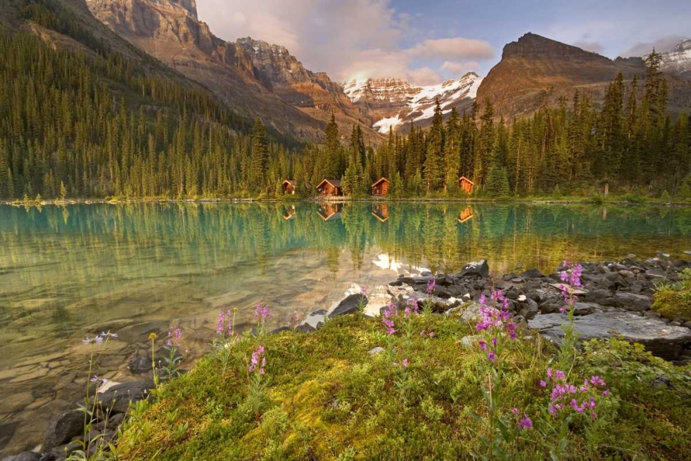 Canada, Yoho NP Lodge and forest by Lake Ohara art print by Don Paulson for $57.95 CAD