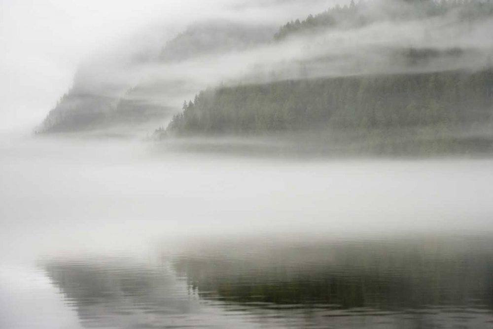 Canada, BC, Calvert Island Fog shrouded forest art print by Don Paulson for $57.95 CAD