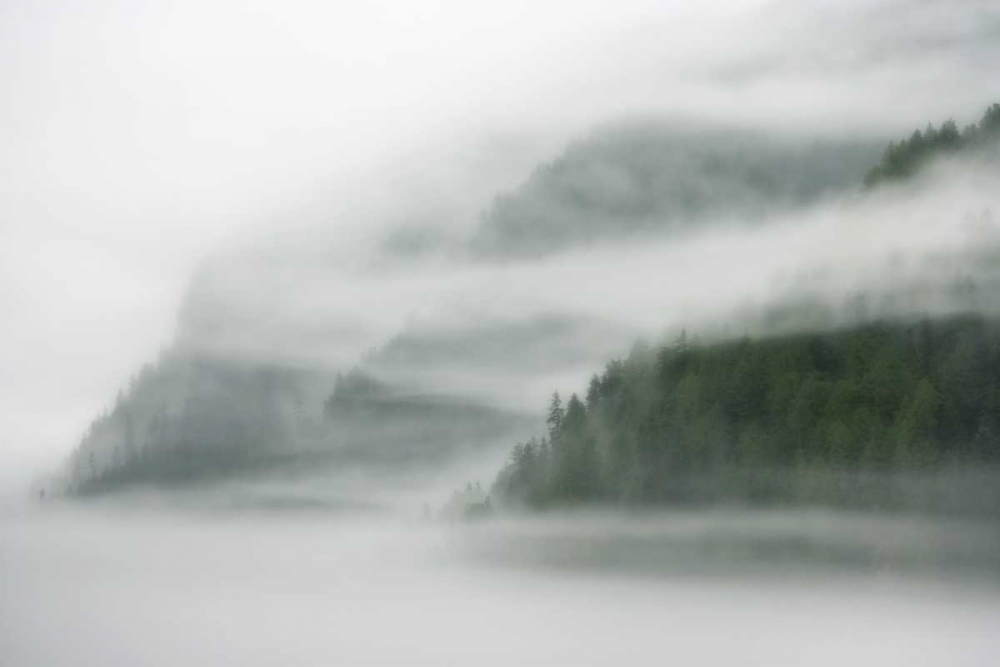 Canada, BC, Mist and fog shroud the island art print by Don Paulson for $57.95 CAD