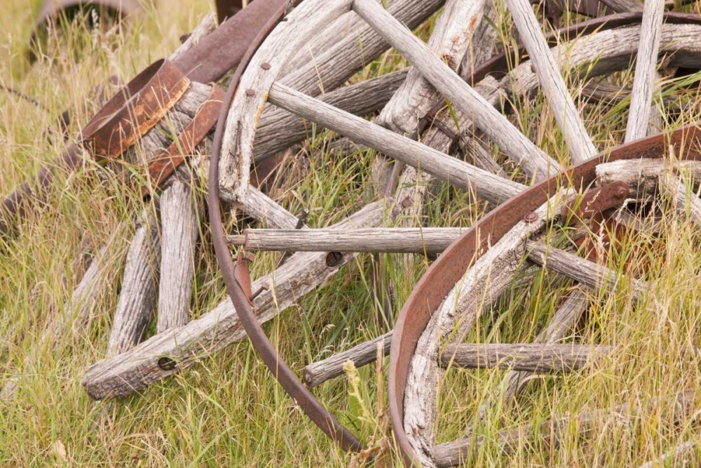 Canada, BC, Fort Steele Wagon wheels in grass art print by Don Paulson for $57.95 CAD
