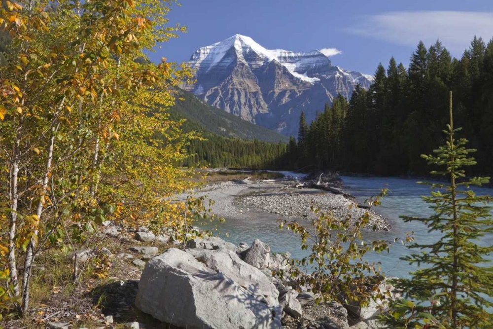 Canada, BC, Landscape of Mt Robson and stream art print by Don Paulson for $57.95 CAD