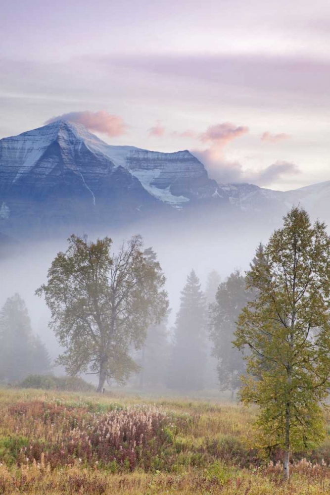 Canada, BC, Mount Robson PP Foggy sunrise art print by Don Paulson for $57.95 CAD