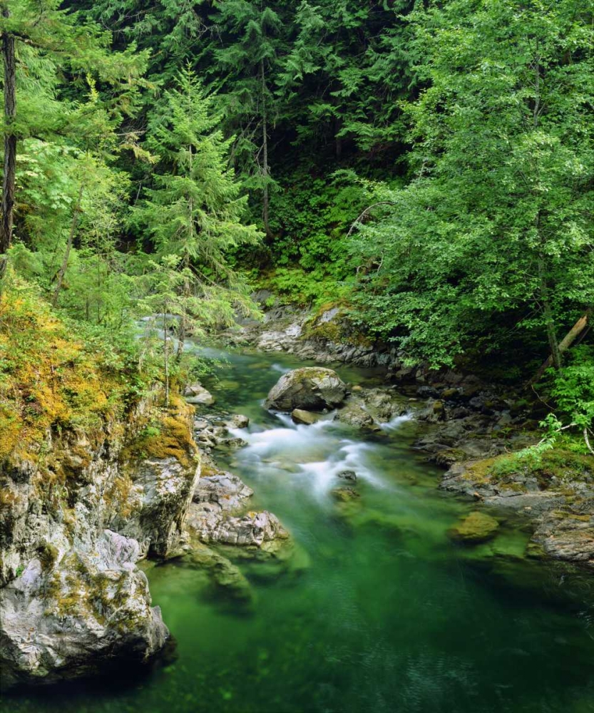Little Qualicum River on Vancouver Island, Canada art print by Christopher Talbot Frank for $57.95 CAD