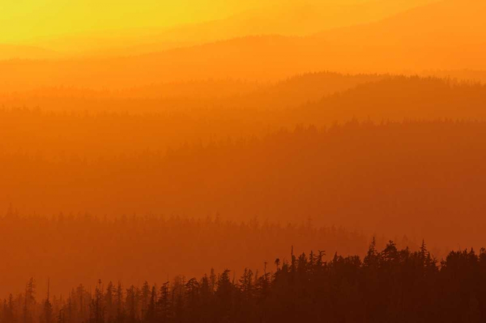 Canada, BC, Mountains of rain forest at sunset art print by Mike Grandmaison for $57.95 CAD