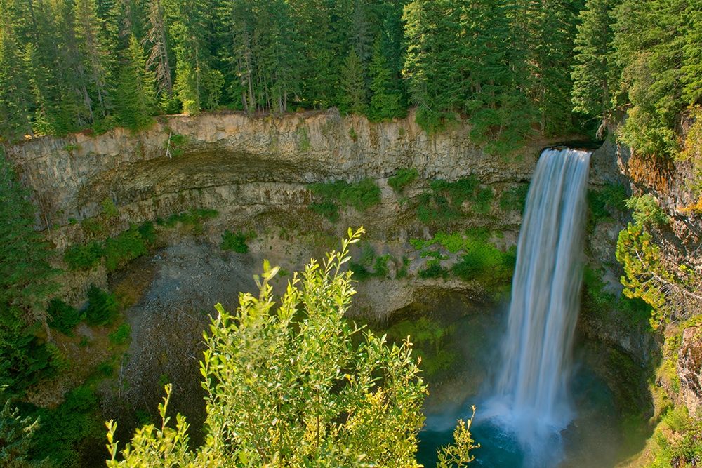 Canada-British Columbia-Brandywine Falls Provincial Park-Waterfall off cliff into pool art print by Jaynes Gallery for $57.95 CAD