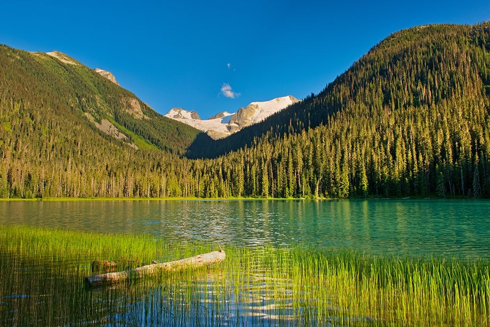 Canada-British Columbia-Joffre Lakes Provincial Park-Lower Joffre Lake landscape art print by Jaynes Gallery for $57.95 CAD