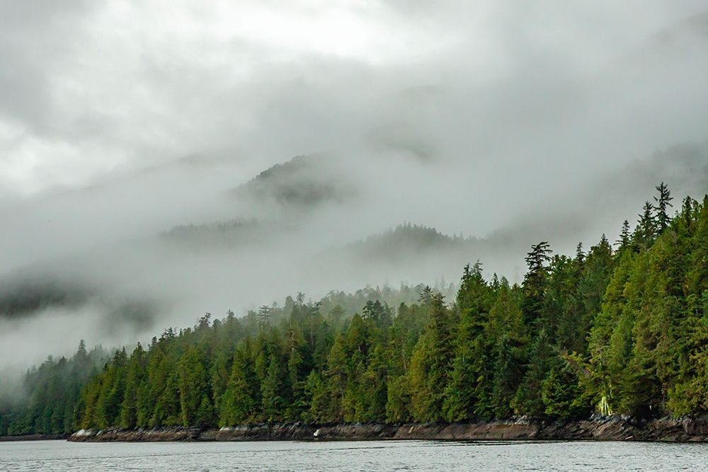 Canada-British Columbia-Inside Passage Morning fog on forested mountain art print by Jaynes Gallery for $57.95 CAD