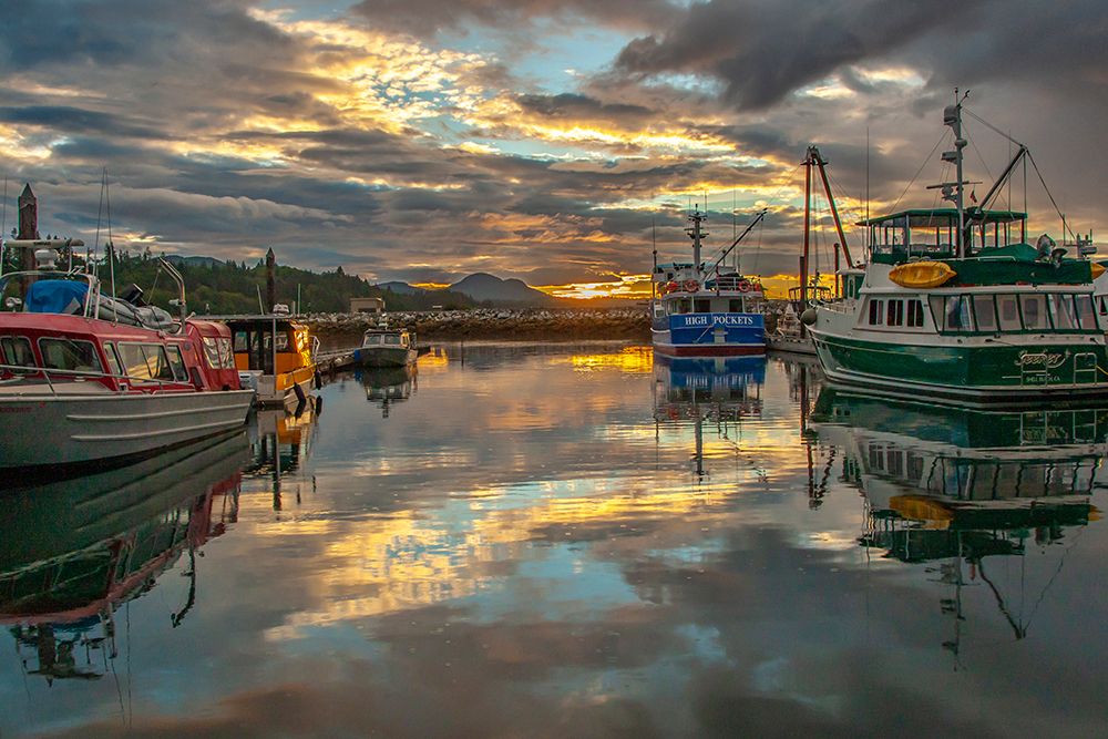 Canada-British Columbia-Inside Passage Port McNeil marina at sunset art print by Jaynes Gallery for $57.95 CAD