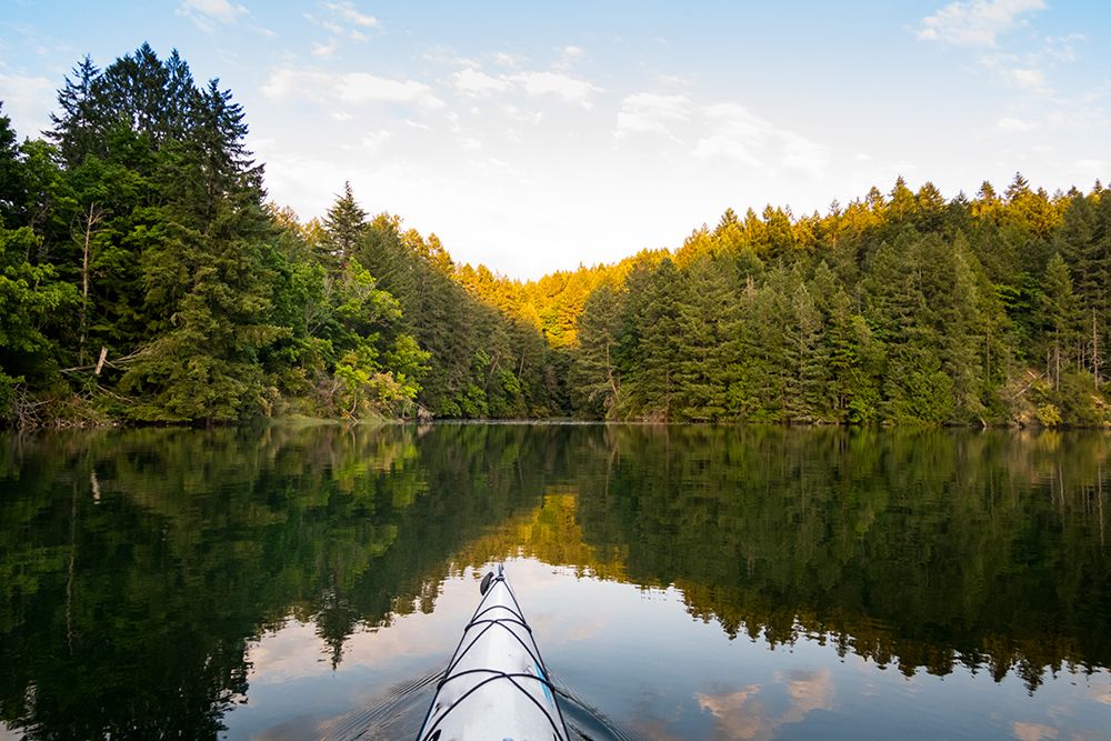 View from a kayak on a lake in Vancouver Island, British Columbia, Canada. art print by Rob Casey for $57.95 CAD