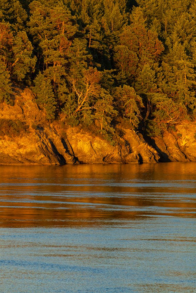 Helen Point shoreline, Mayne Island, British Columbia, Gulf Islands, British Columbia, Canada art print by Rob Casey for $57.95 CAD