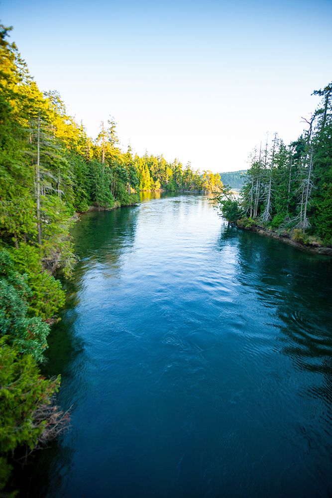 Pender Canal, Pender Island, British Columbia, Gulf Islands, Canada art print by Rob Casey for $57.95 CAD