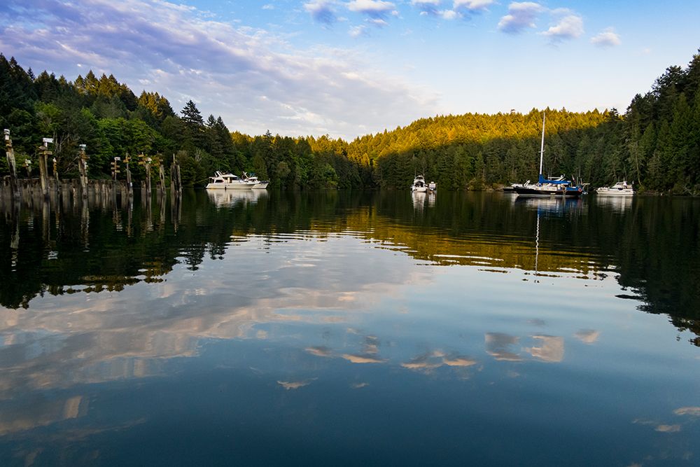 A lake on Vancouver Island, British Columbia, Canada. art print by Rob Casey for $57.95 CAD