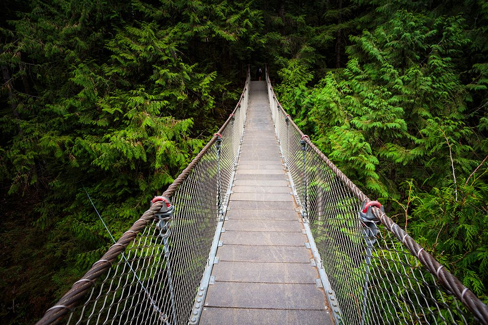 Lynn Canyon Suspension Bridge, North Vancouver, British Columbia, Canada. art print by Rob Casey for $57.95 CAD