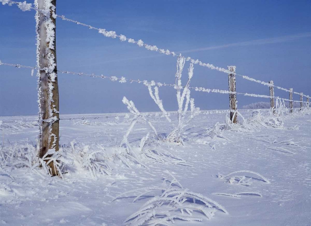 Canada, Manitoba, Dugald, hoarfrost and fence art print by Mike Grandmaison for $57.95 CAD