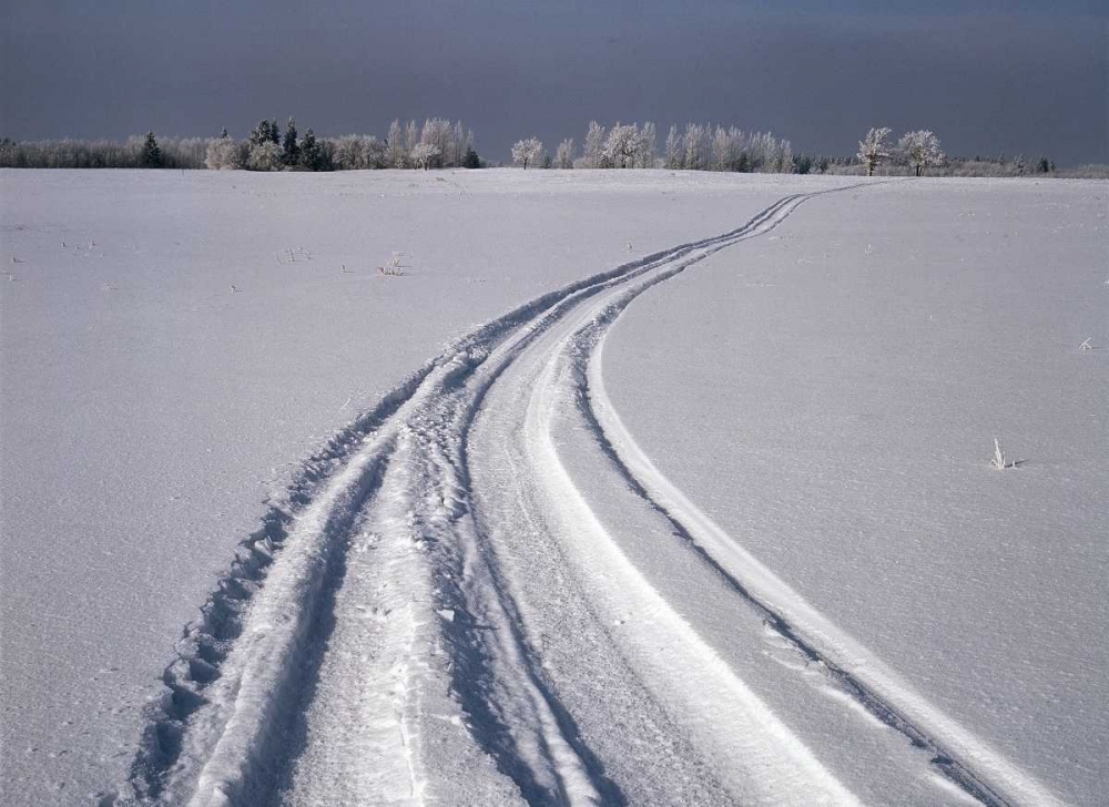 Canada, Manitoba, Tire tracks in snow landscape art print by Mike Grandmaison for $57.95 CAD