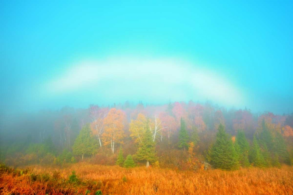 Canada, Whiteshell PP Fogbow over forest, Autumn art print by Mike Grandmaison for $57.95 CAD