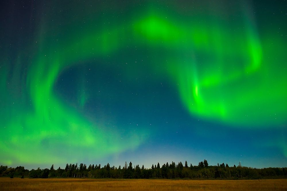 Canada-Manitoba-Birds Hill Provincial Park-green northern lights art print by Jaynes Gallery for $57.95 CAD