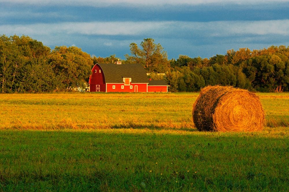 Canada-Manitoba-Matlock Red barn and bale at sunrise art print by Jaynes Gallery for $57.95 CAD