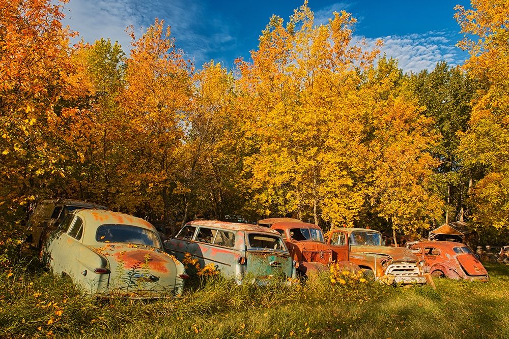 Canada-Manitoba-St Lupicin Vintage old vehicles in wrecking yard art print by Jaynes Gallery for $57.95 CAD