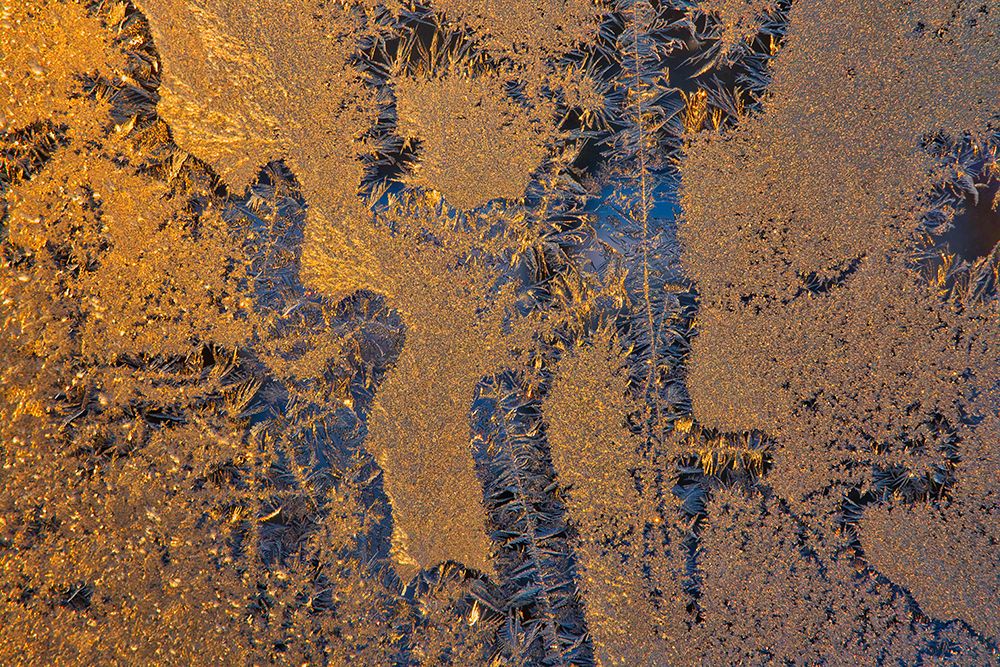 Canada-Manitoba-Winnipeg Sunrise on window frost patterns in winter art print by Jaynes Gallery for $57.95 CAD