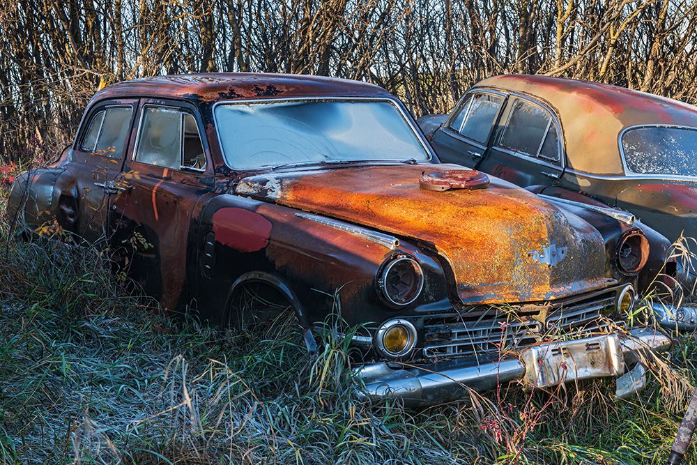 Canada-Manitoba-St Lupicin Rusted vintage cars art print by Jaynes Gallery for $57.95 CAD