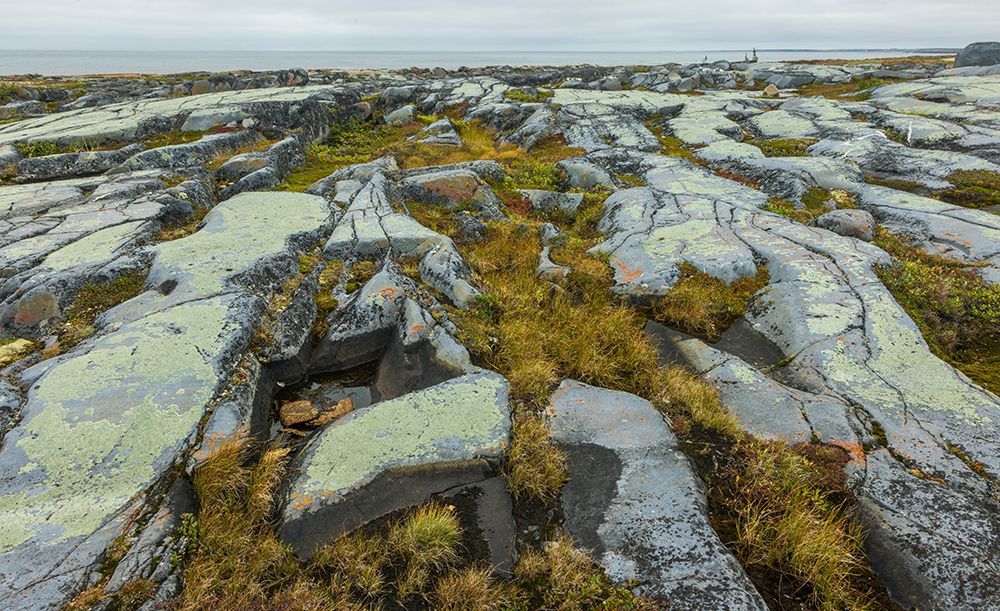 Arctic tundra glacial boulder formation details in early autumn in Northern Manitoba art print by Ken Archer for $57.95 CAD