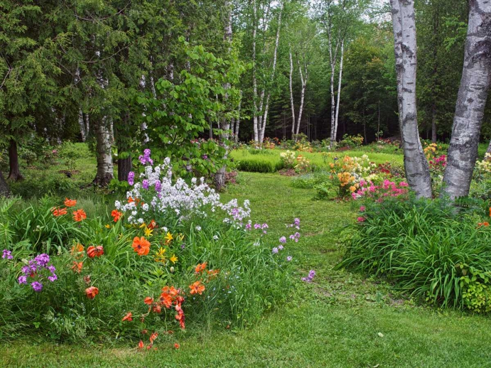 Canada, New Brunswick, garden and forest art print by Ellen Anon for $57.95 CAD