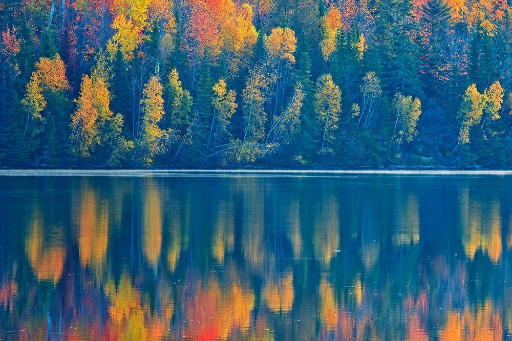 Canada-New Brunswick-Mactaquac Autumn forest reflections on St John River art print by Jaynes Gallery for $57.95 CAD