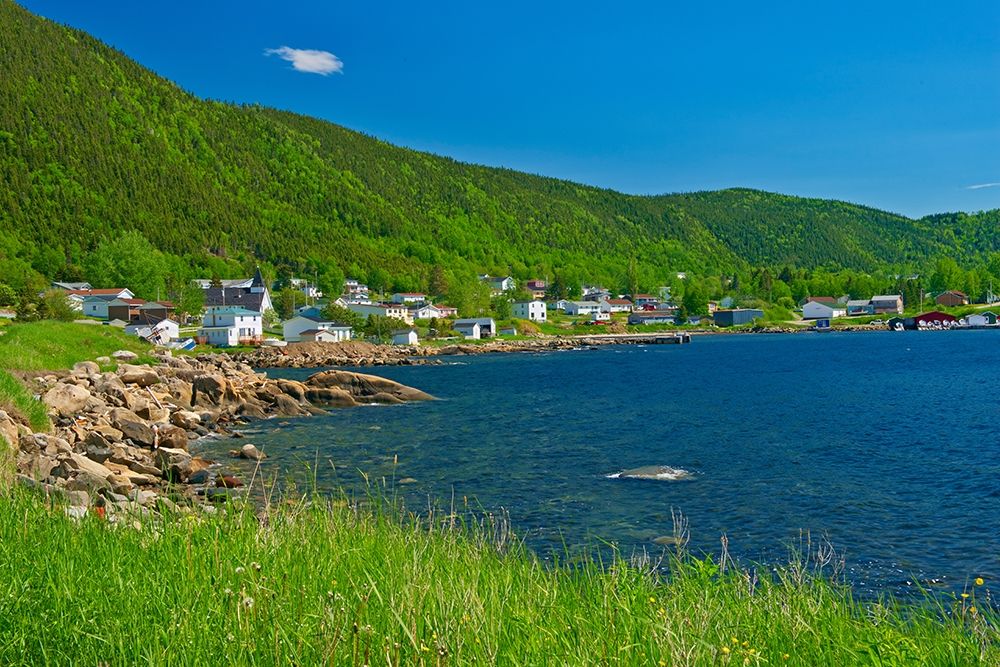 Canada-Newfoundland Fishing village and shoreline along White Bay art print by Jaynes Gallery for $57.95 CAD