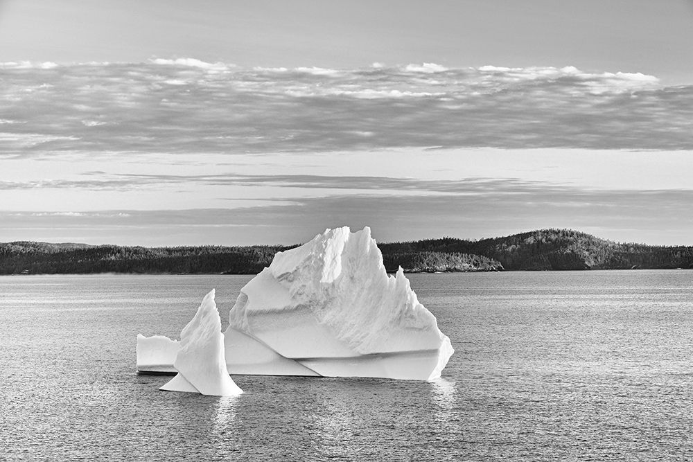 Canada-Newfoundland-Eastport Icebergs floating in Salvage Bay of Atlantic Ocean art print by Jaynes Gallery for $57.95 CAD