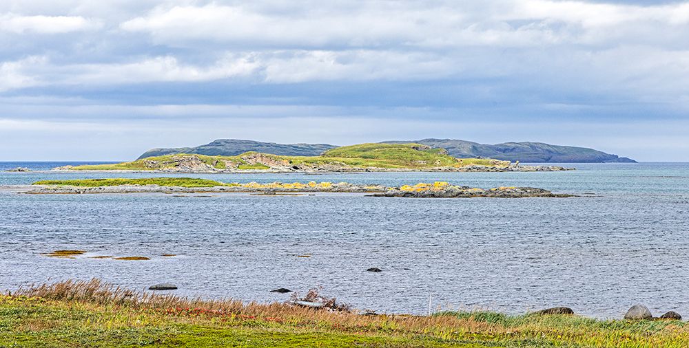 Canada, Newfoundland and Labrador. L Anse aux Meadows National Historic Site. art print by Joe Restuccia III for $57.95 CAD