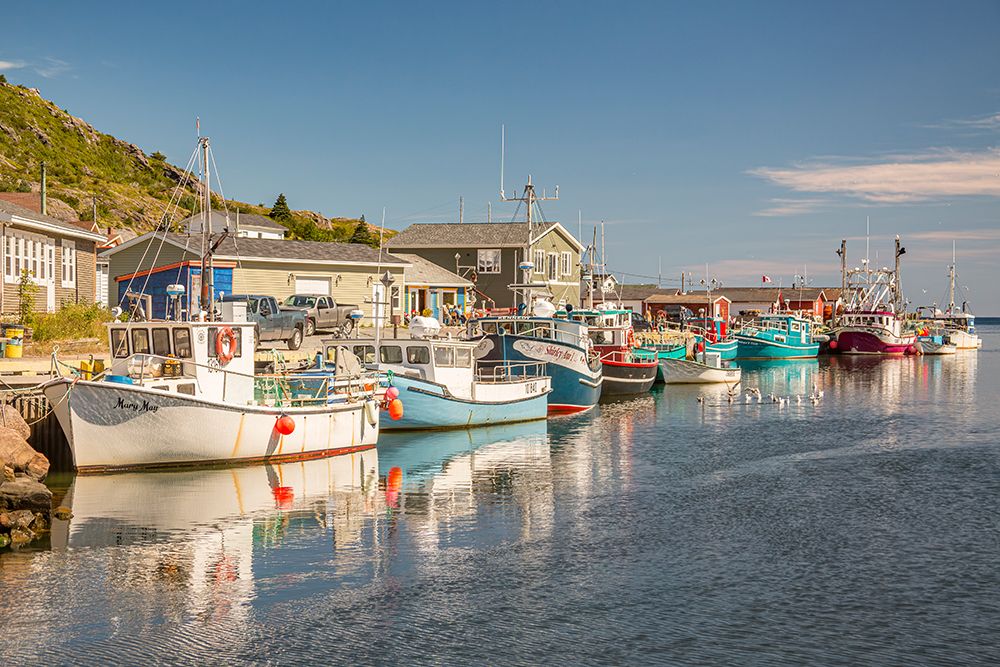 Canada, Newfoundland and Labrador. Petty Harbor art print by Patrick J. Wall for $57.95 CAD