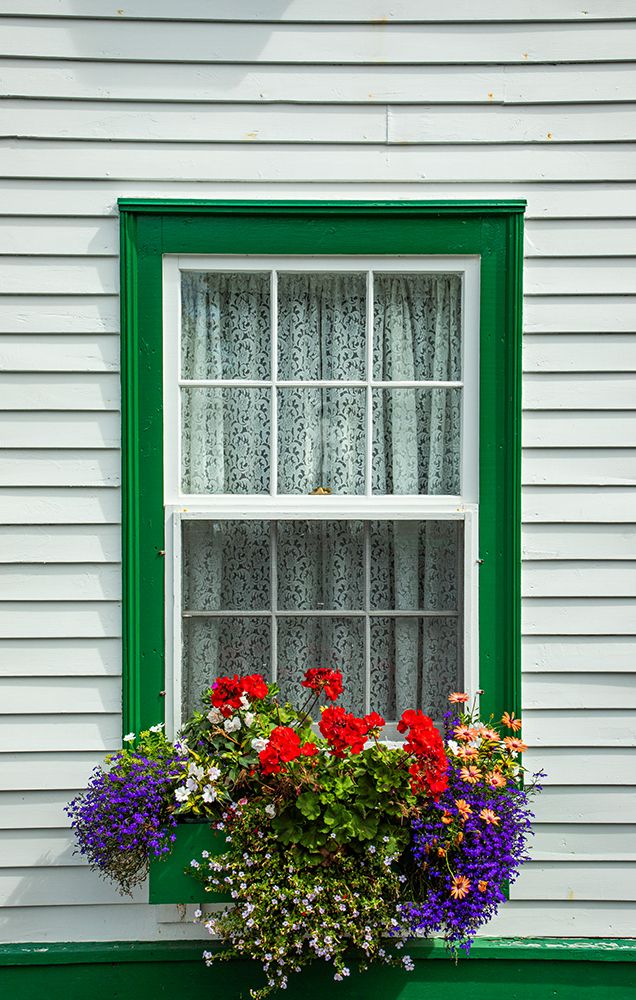 Canada, Newfoundland and Labrador. Window in Brigus art print by Patrick J. Wall for $57.95 CAD