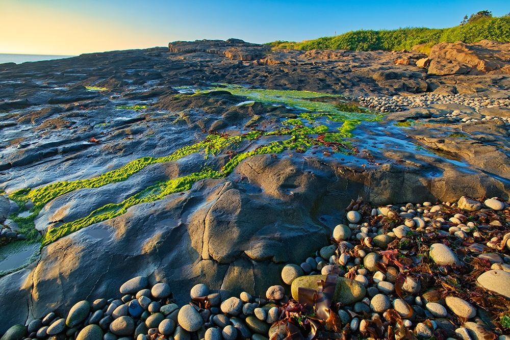 Canada-Nova Scotia Rocky shoreline along Bay of Fundy art print by Jaynes Gallery for $57.95 CAD
