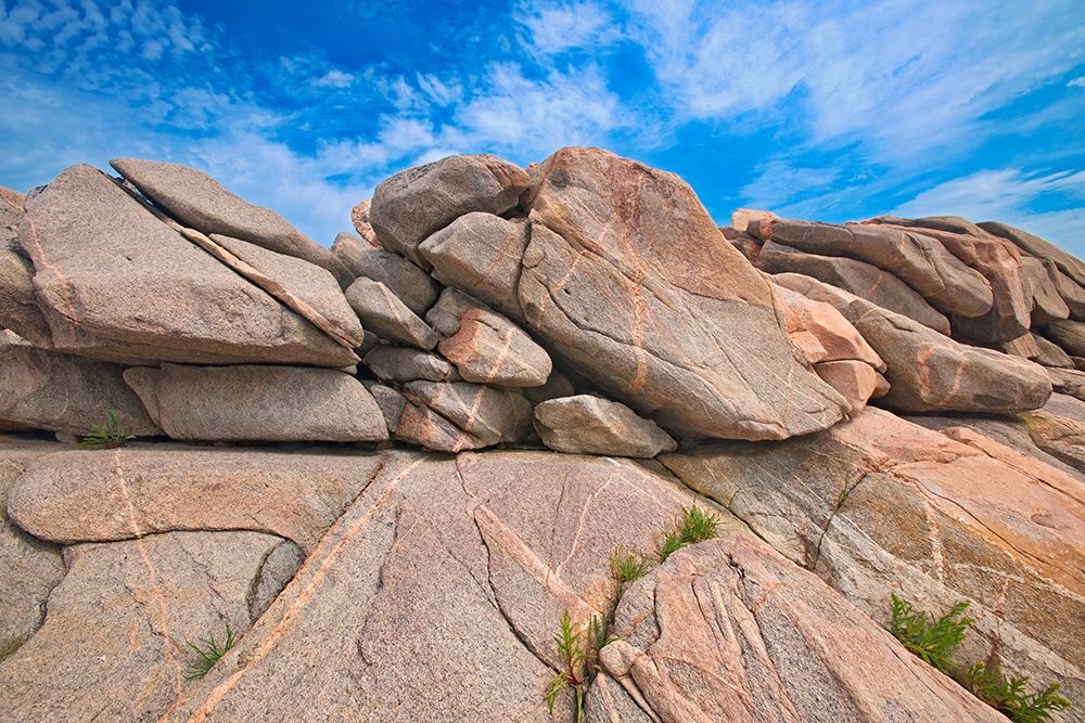 Canada-Nova Scotia-Cape Breton Island Rocky shoreline along Cabot Strait art print by Jaynes Gallery for $57.95 CAD