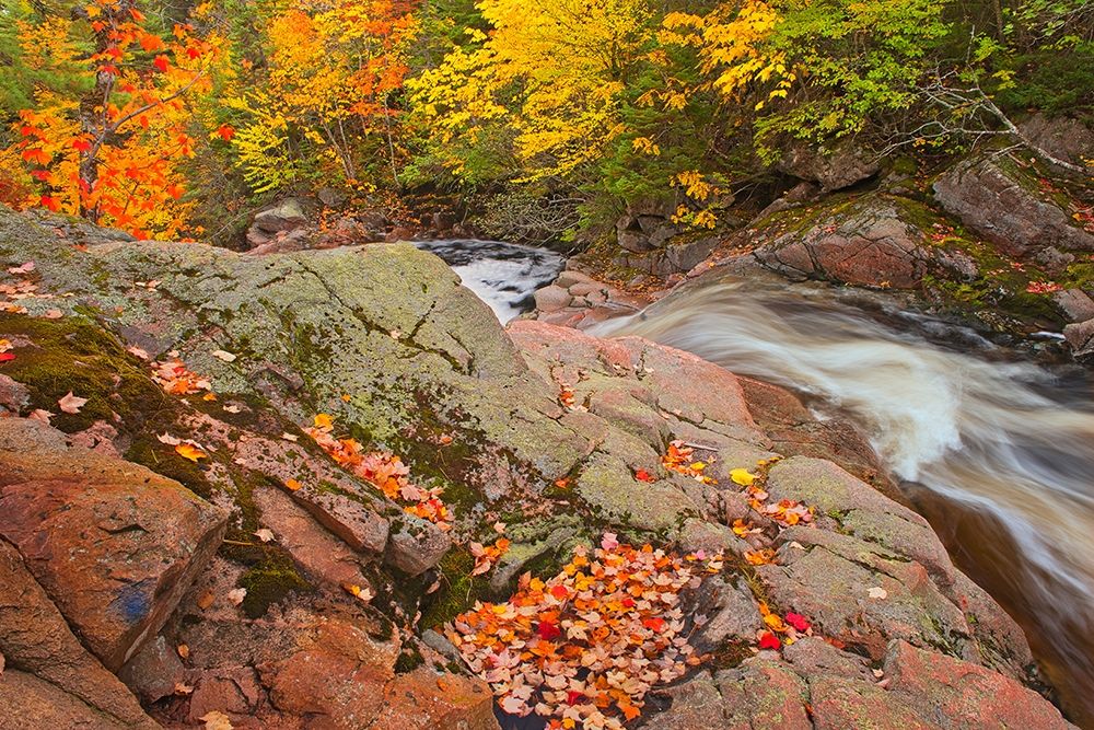 Canada-Nova Scotia Mary-Anne Falls and forest in autumn foliage art print by Jaynes Gallery for $57.95 CAD