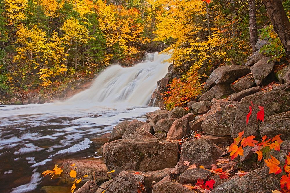 Canada-Nova Scotia Mary-Anne Falls and forest in autumn foliage art print by Jaynes Gallery for $57.95 CAD