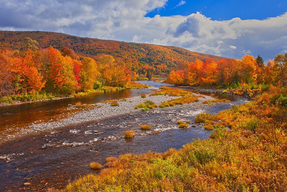 Canada-Nova Scotia-Cape Breton Island The North River and forest in autumn foliage art print by Jaynes Gallery for $57.95 CAD
