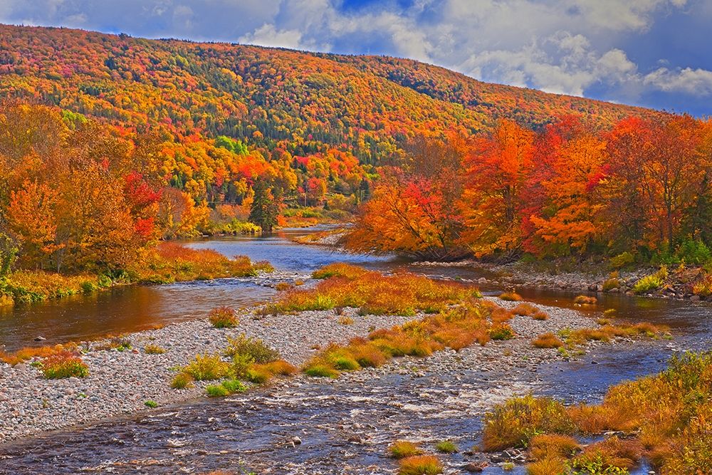 Canada-Nova Scotia-Cape Breton Island The North River and forest in autumn foliage art print by Jaynes Gallery for $57.95 CAD