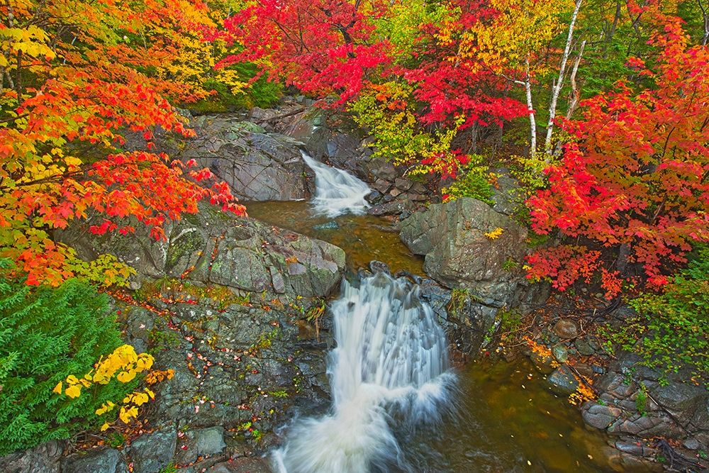 Canada-Nova Scotia-Cape Breton Island Morrison Brook and forest in autumn foliage art print by Jaynes Gallery for $57.95 CAD