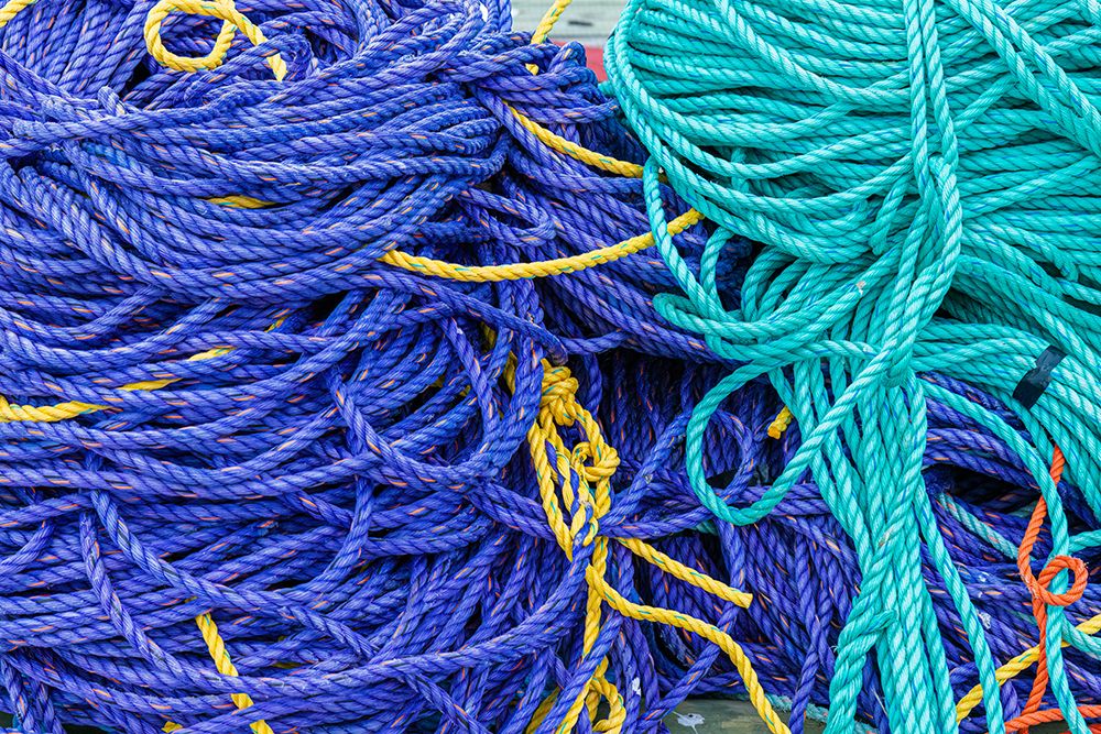 Colored rope on dock at Fishermans Cove, Eastern Passage, Nova Scotia, Canada. art print by Richard and Susan Day for $57.95 CAD