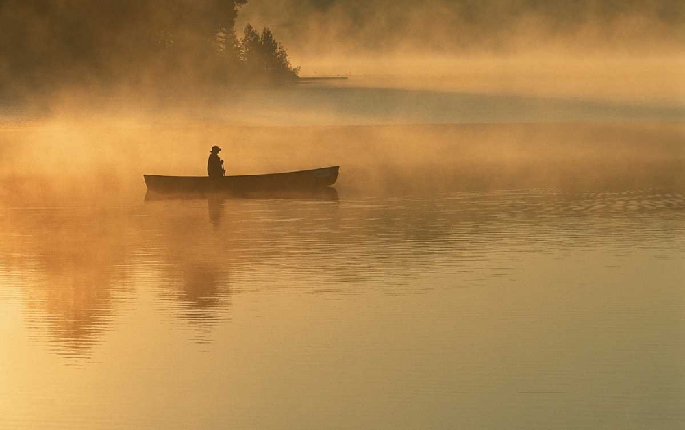 canoeist, Algonguin Park, Ontario, Canada art print by Nancy Rotenberg for $57.95 CAD
