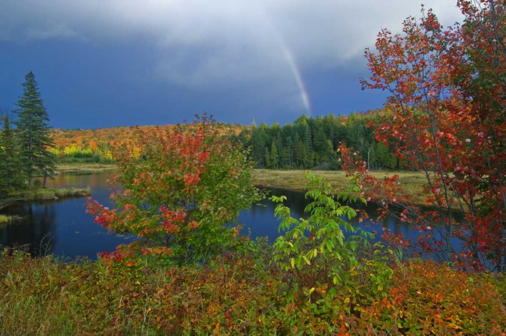 Canada, Ontario Rainbow and maples in autumn art print by Mike Grandmaison for $57.95 CAD
