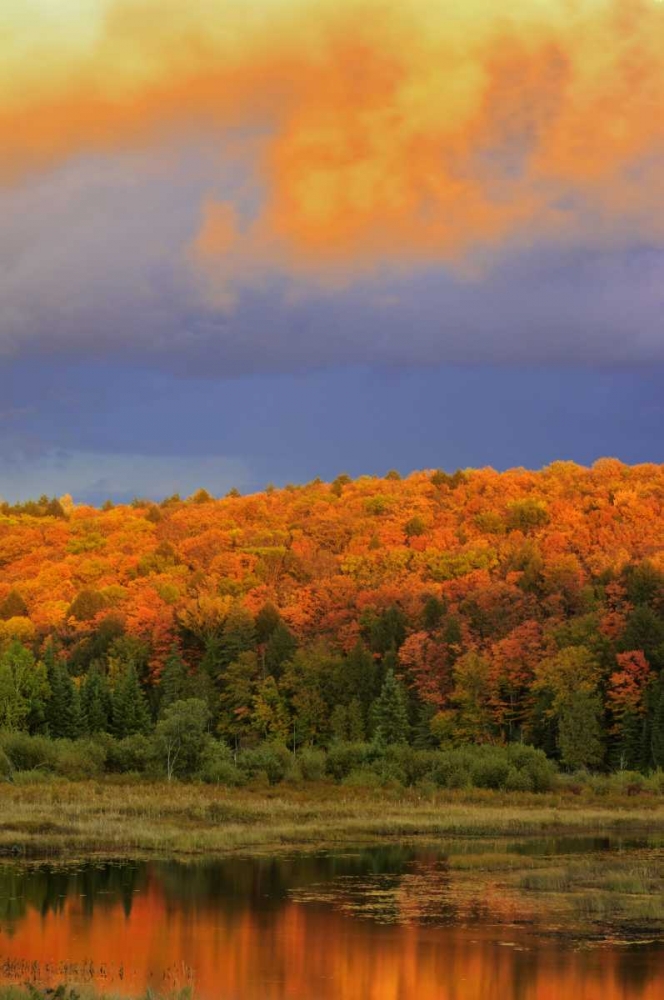 Canada, Ontario, Oxtongue Lake Sky and forest art print by Mike Grandmaison for $57.95 CAD