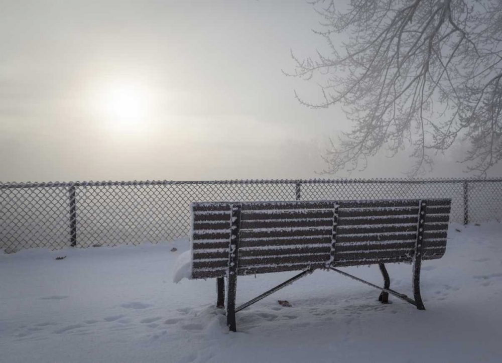 Canada, Ottawa Fog-shrouded winter scene art print by Bill Young for $57.95 CAD